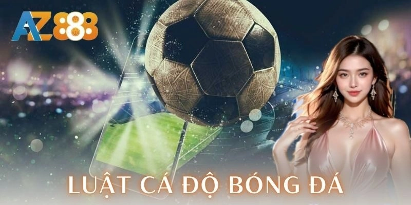Luật cá độ bóng đá - Hướng dẫn chơi đỉnh cao cho anh em 2 Quyền lợi và trách nhiệm của người chơi